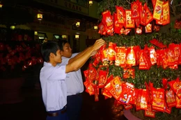 Ảnh: Viên Quang